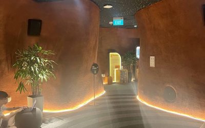 A New Project Involving Libraries in Singapore