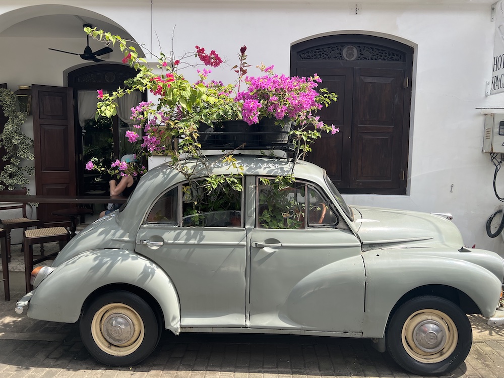 old car with flowers on top