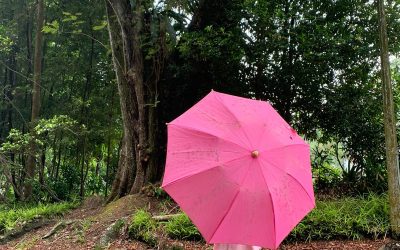 My American Life – Sharing Stories of Kindness