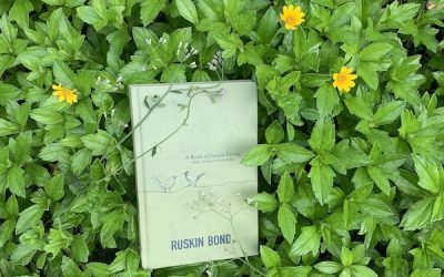 The Futility and Power of Words