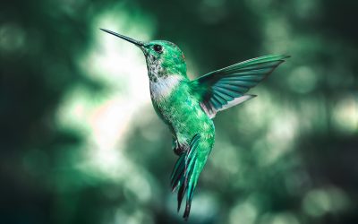 Episode 4 – Desi divorce discussion – I needed to get my wings first!