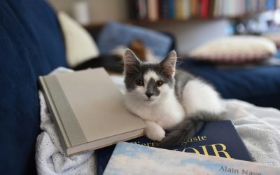 Two Feel-good Japanese Novels About Books And Libraries