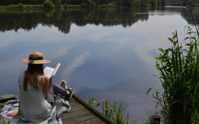 Three Fun Fiction Reads Across Japan, Canada and USA