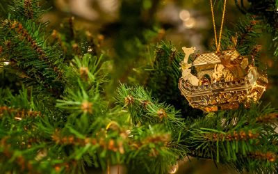 Start The Year With Three Fine Books Featuring Animals